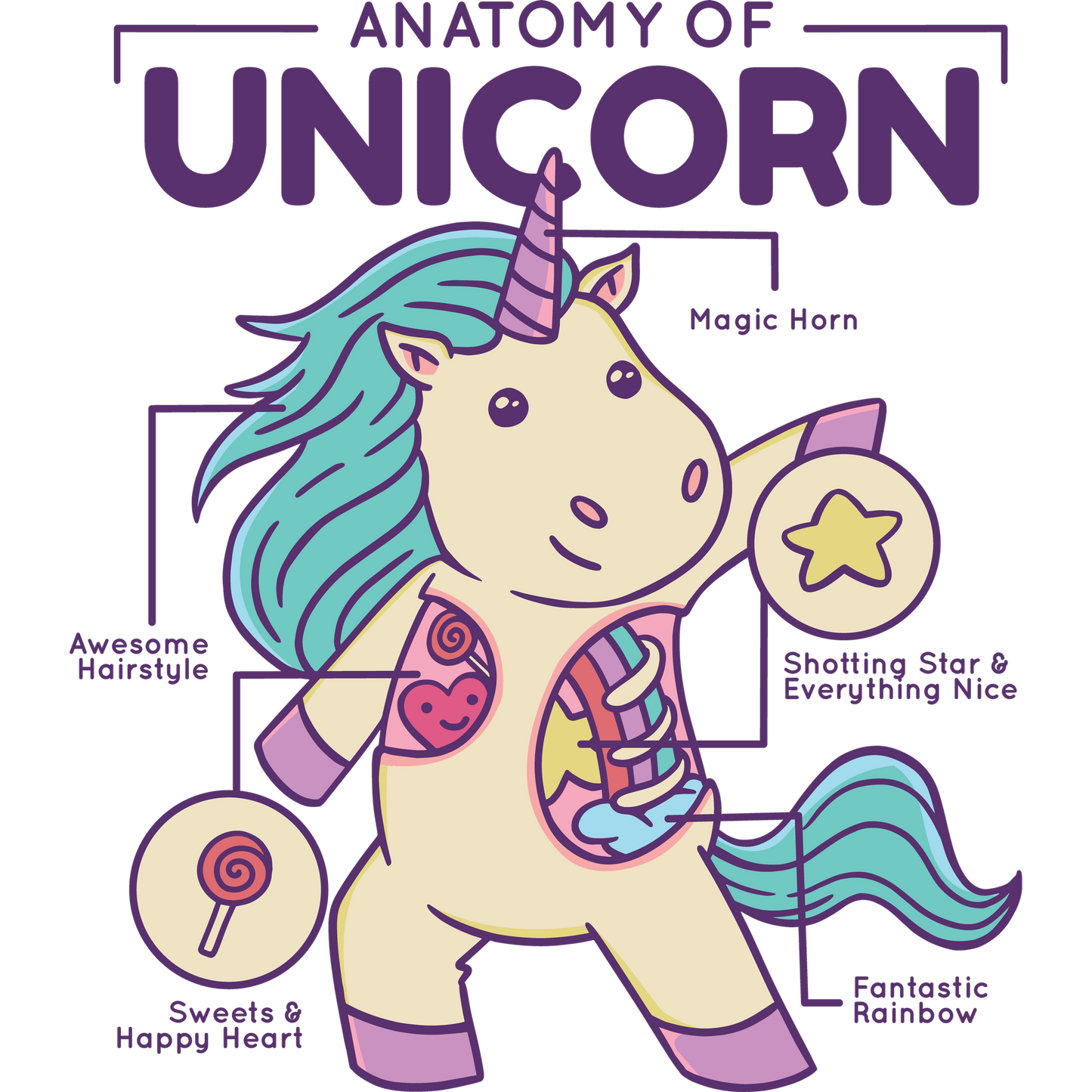 Anatomy of Unicorn Colorful Fun Product
