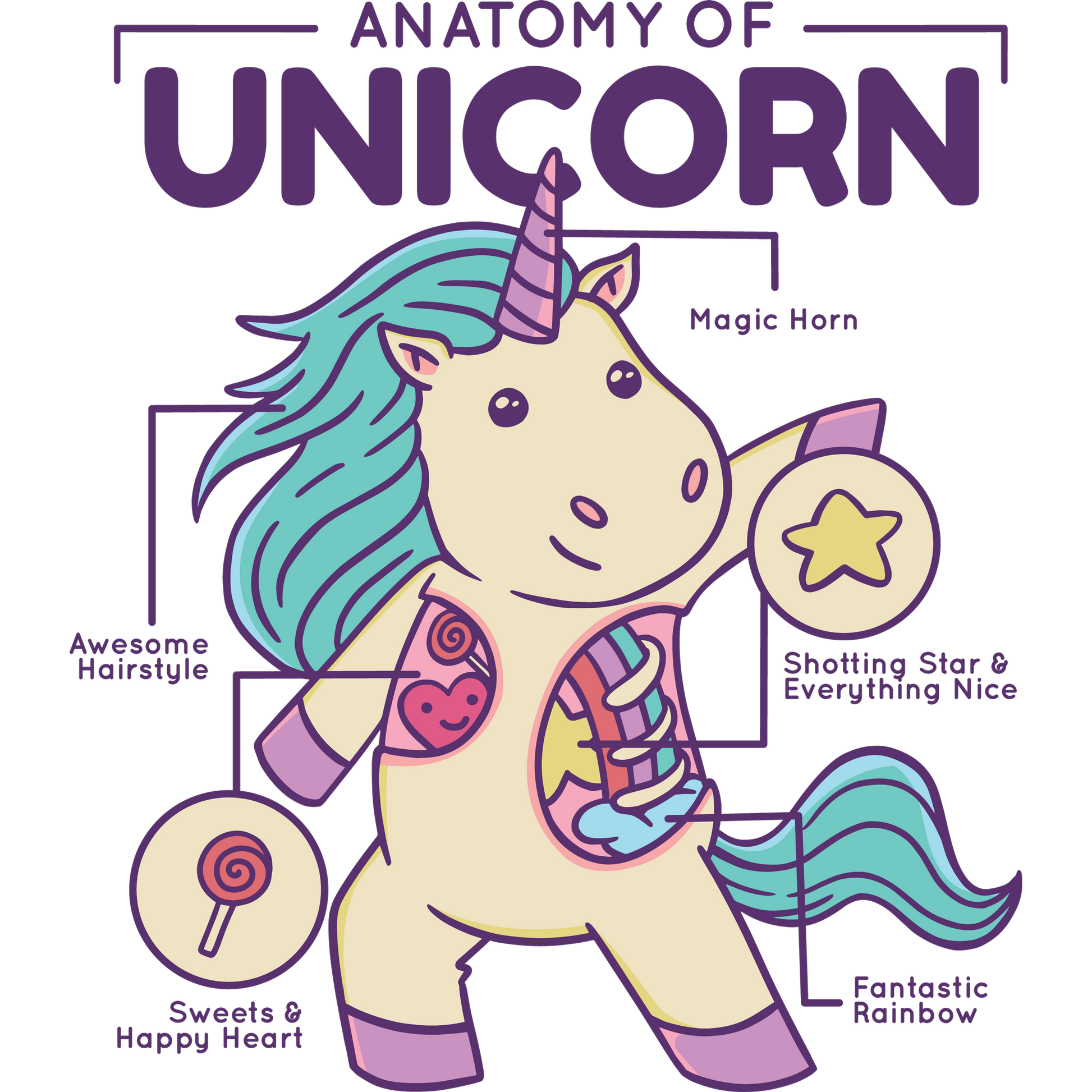 Anatomy of Unicorn Colorful Fun Product