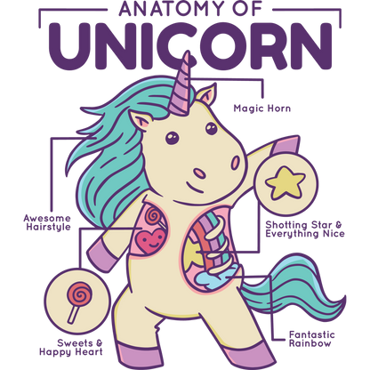 Anatomy of Unicorn Colorful Fun Product