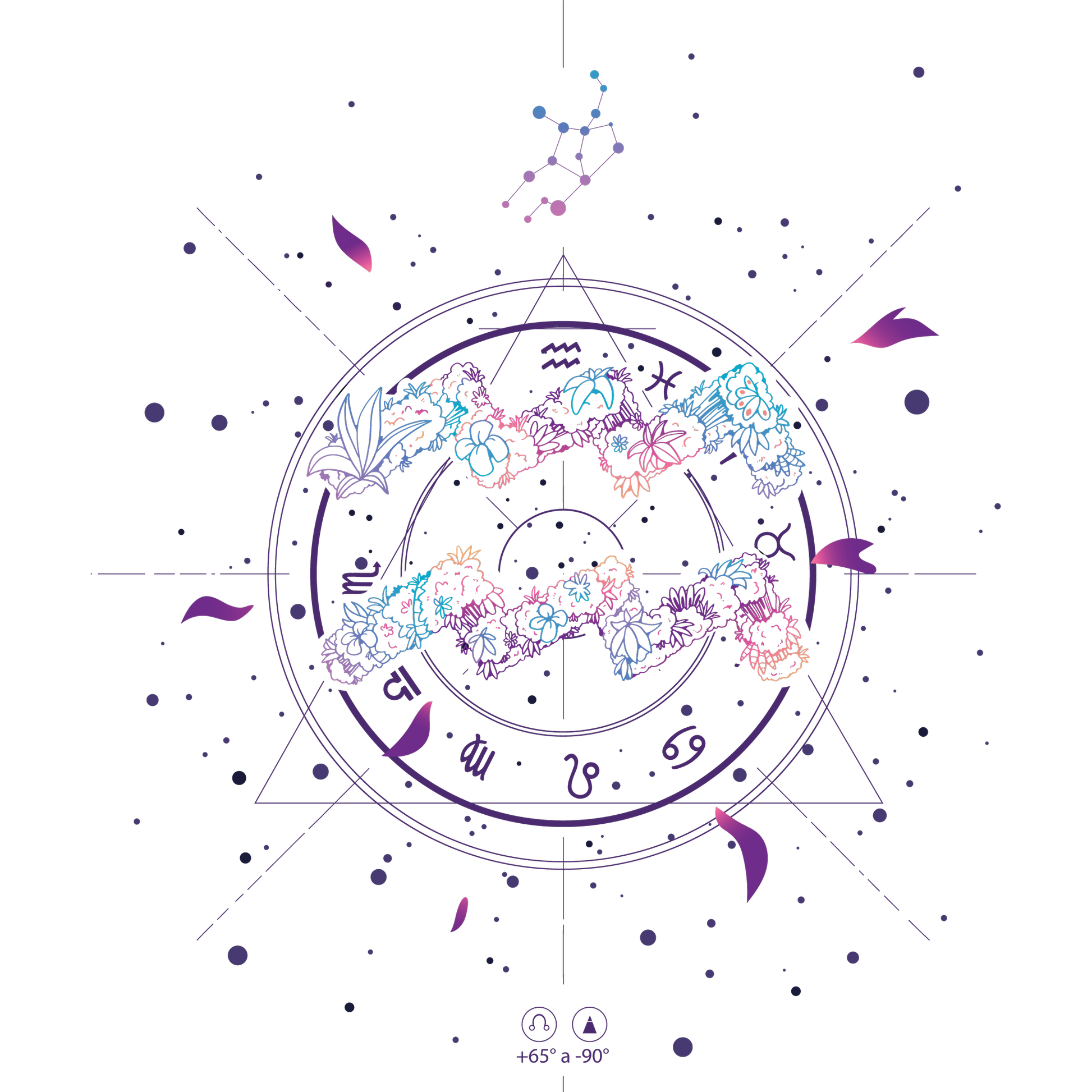 Mystical Zodiac Constellation Art Astrology Wall Decor