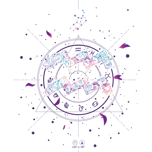 Mystical Zodiac Constellation Art Astrology Wall Decor