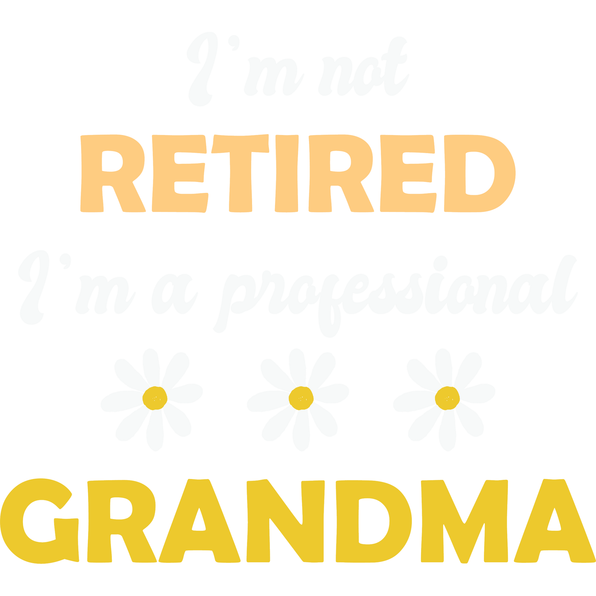 I'm Not Retired I'm a Professional Grandma Décor