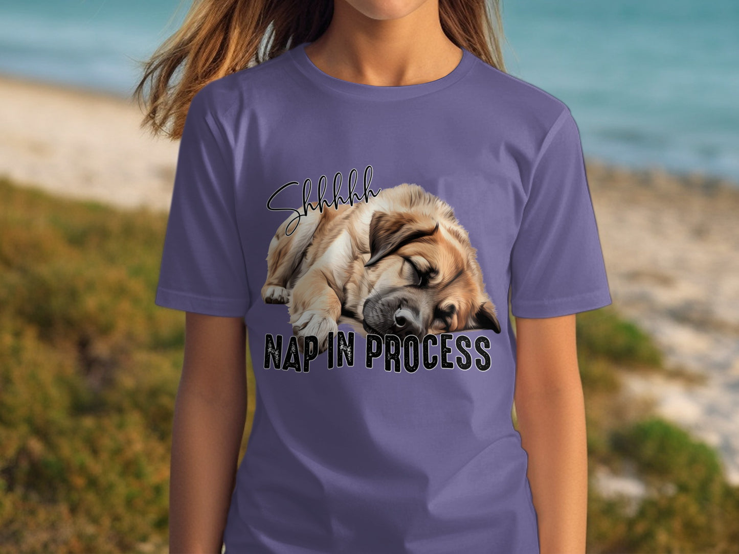 Shhh Nap in Process Sleeping Dog T-shirt