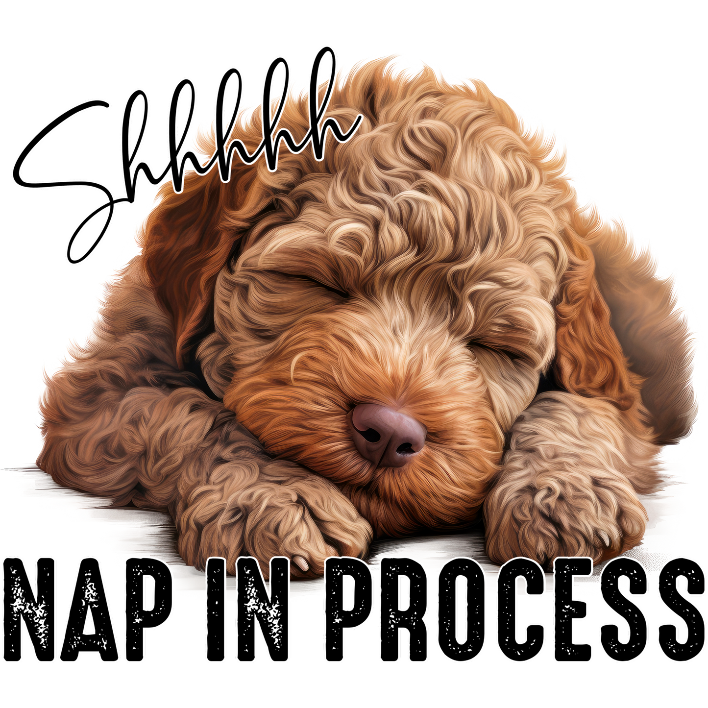 Shhhhhh Nap in Process Adorable Sleeping Dog Print
