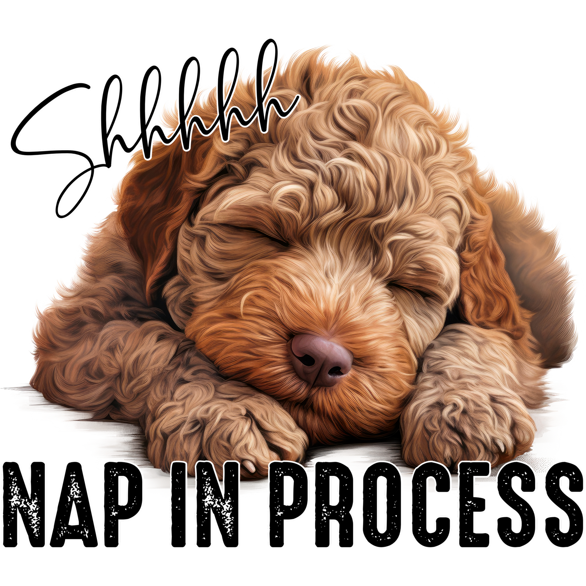 Shhhhhh Nap in Process Adorable Sleeping Dog Print