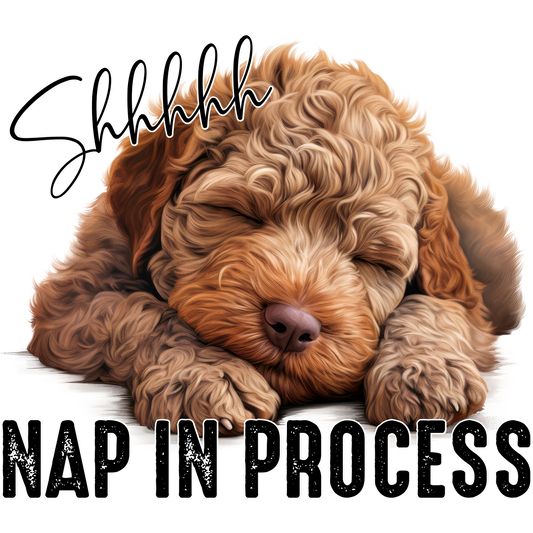Shhhhhh Nap in Process Adorable Sleeping Dog Print