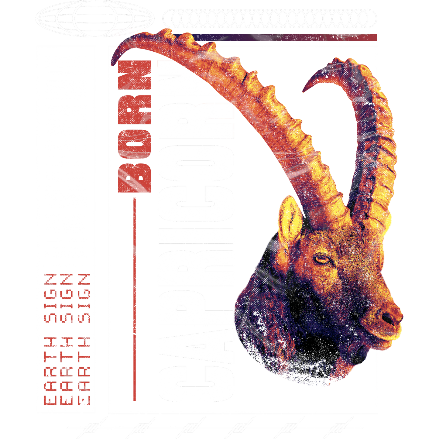 Born Capricorn Earth Sign Illustration Poster