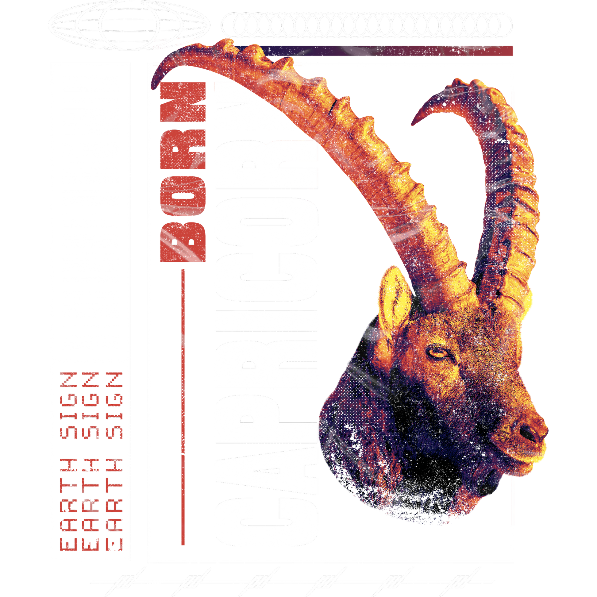Born Capricorn Earth Sign Illustration Poster