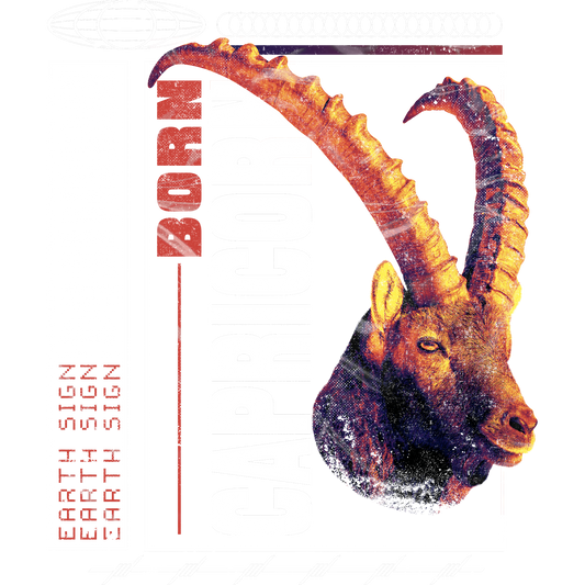 Born Capricorn Earth Sign Illustration Poster