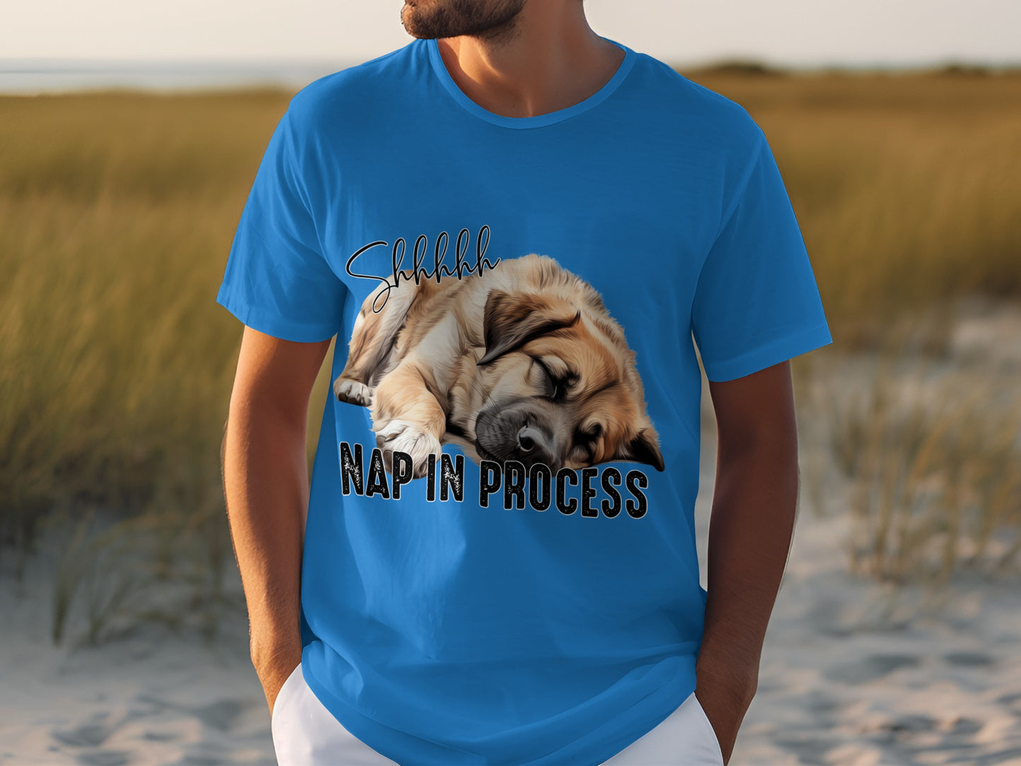 Shhh Nap In Process Sleeping Dog T-Shirt