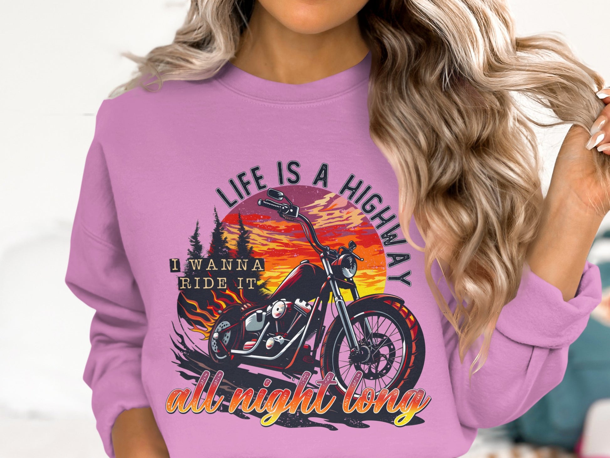 Life Is A Highway I Wanna Ride It Sweatshirt
