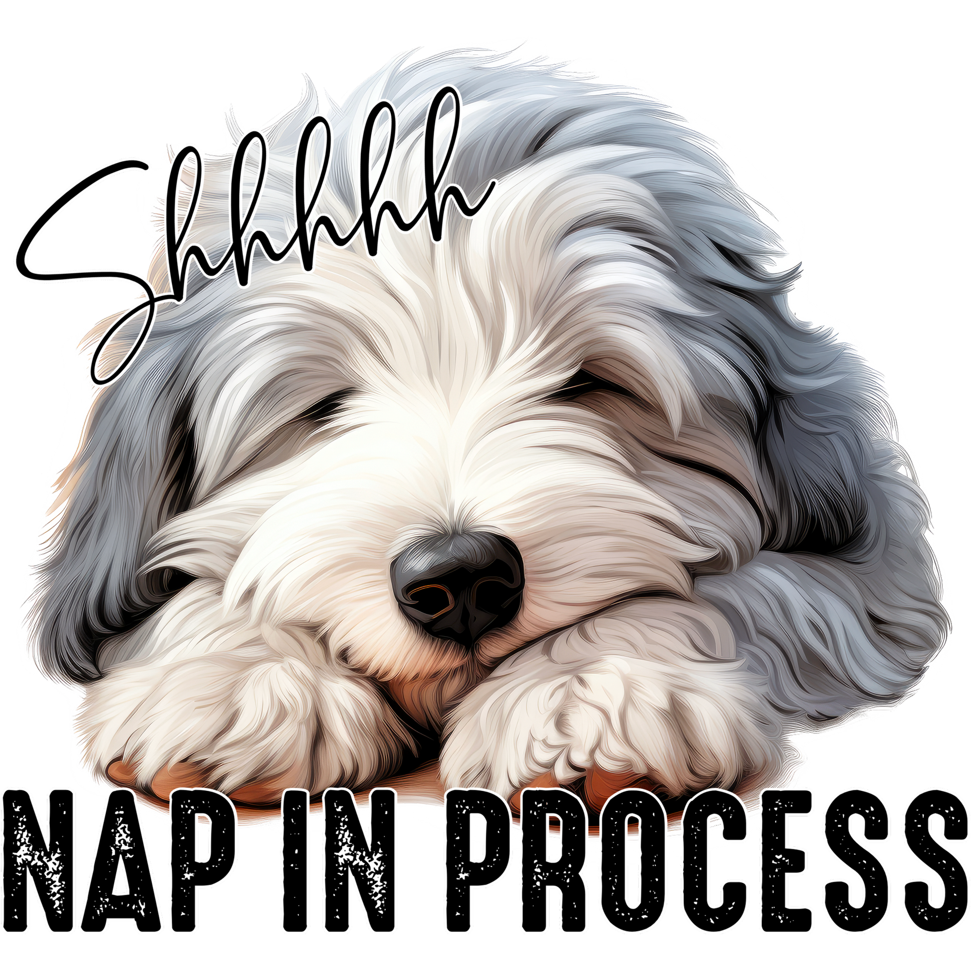 Shhhhh Nap in Process Adorable Sleeping Dog Sign