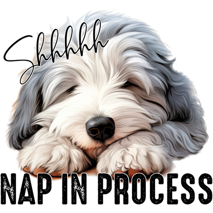 Shhhhh Nap in Process Adorable Sleeping Dog Sign