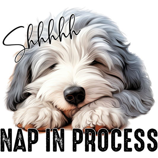 Shhhhh Nap in Process Adorable Sleeping Dog Sign