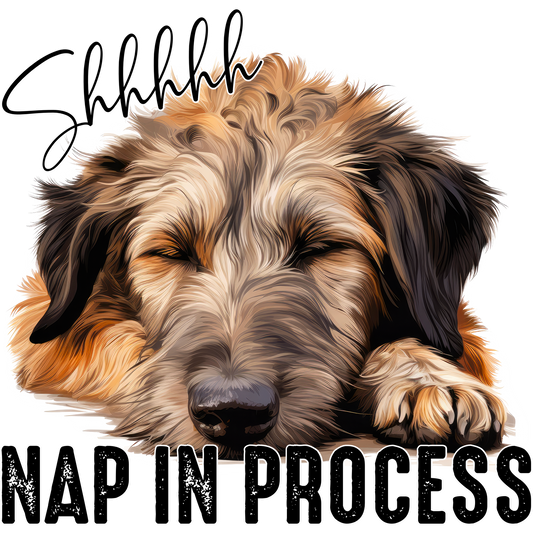 Shhhhhh Nap In Process Sleeping Dog Illustration