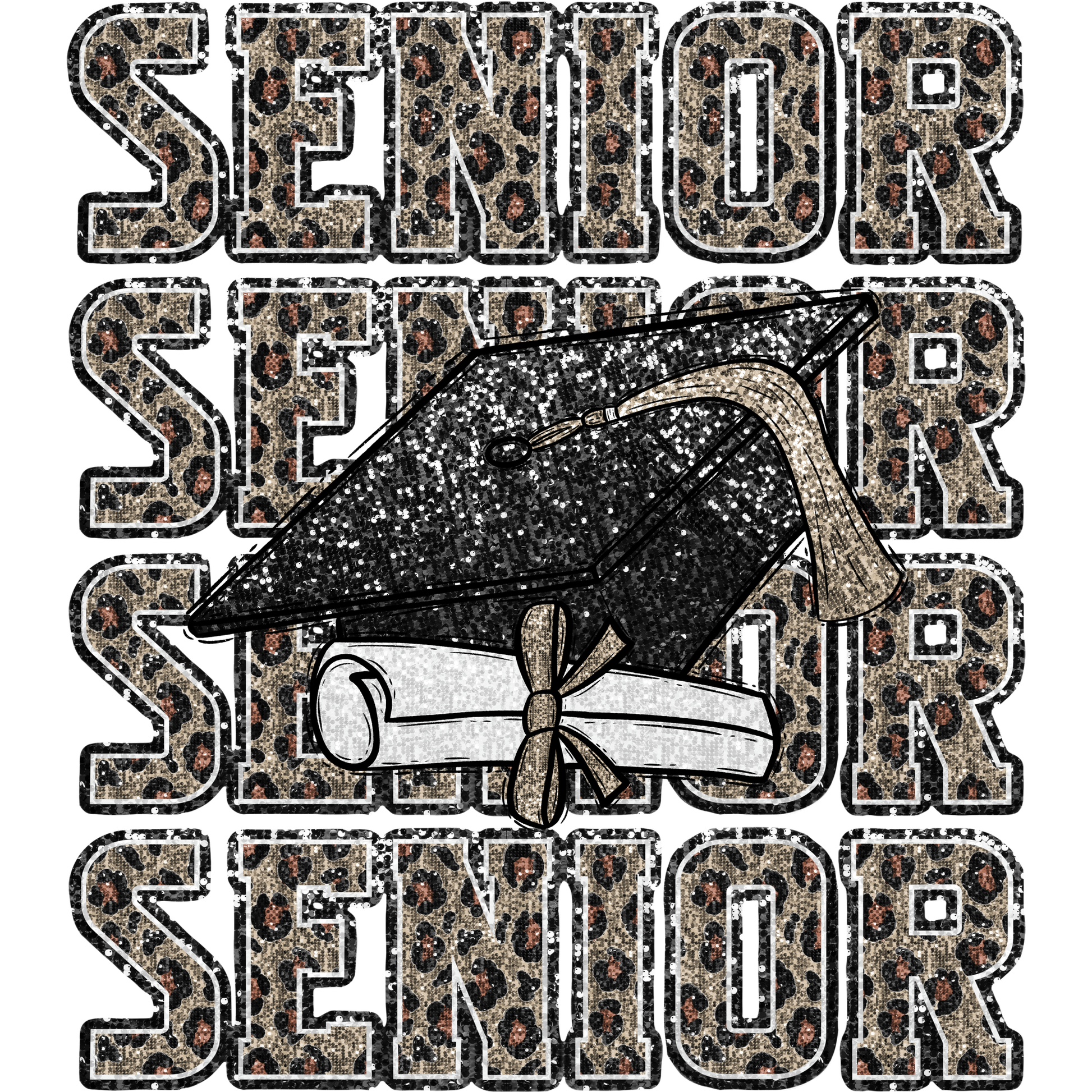 Senior Graduation Cap and Diploma Product