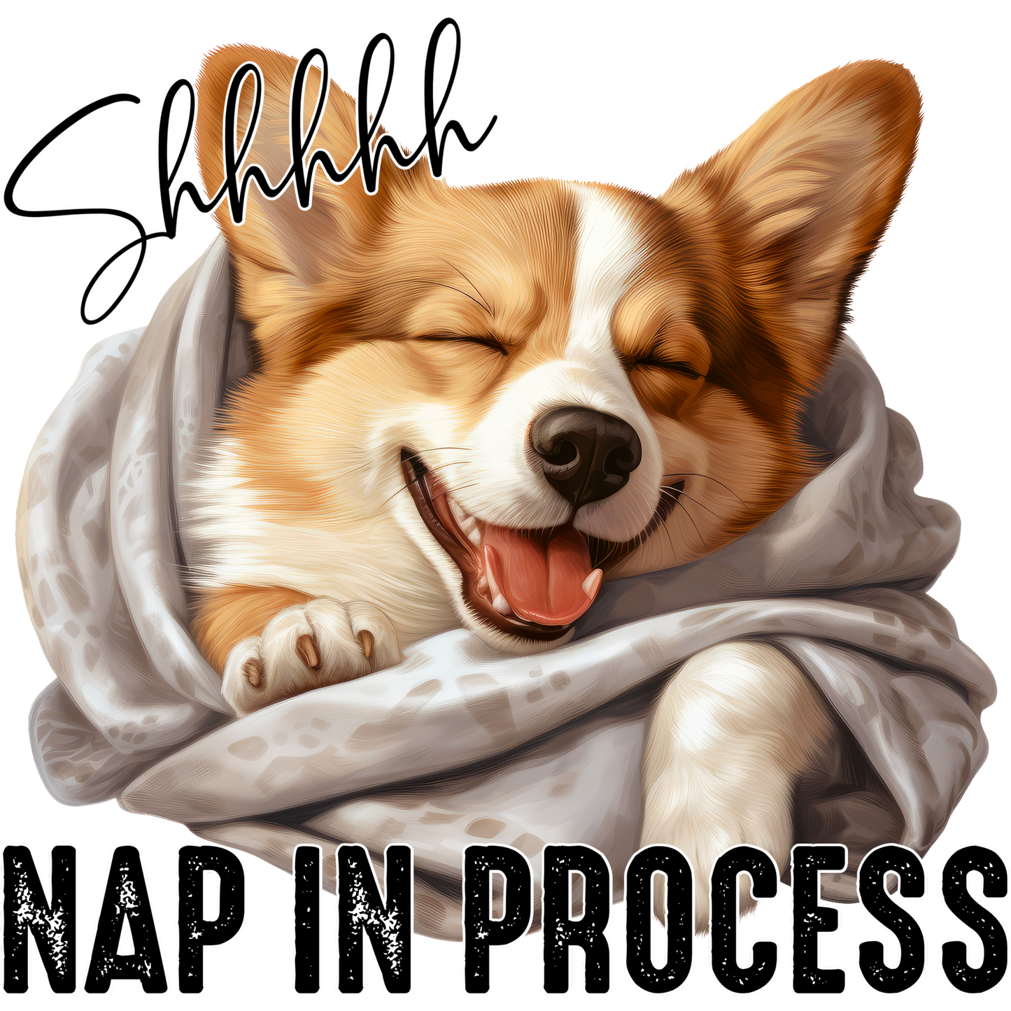 Shh Nap in Process Cute Smiling Corgi Wrapped in Blanket