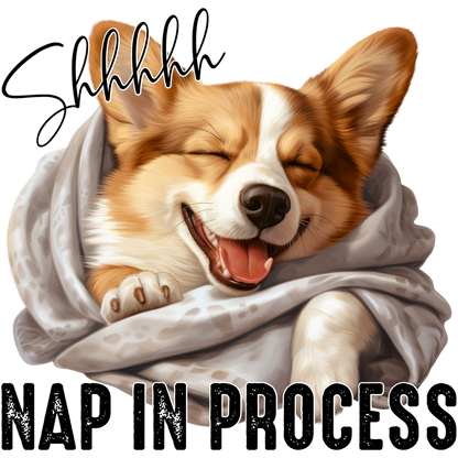 Shh Nap in Process Cute Smiling Corgi Wrapped in Blanket