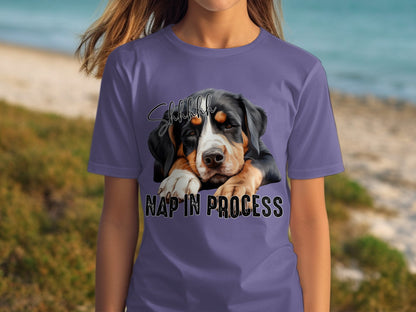 Shhh Nap in Process Adorable Pet Design Product
