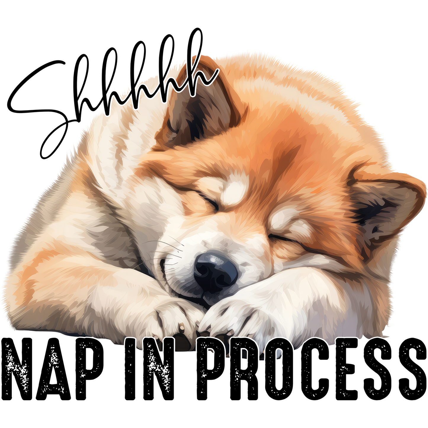 Shhhhh Nap In Process Cute Sleeping Dog Décor