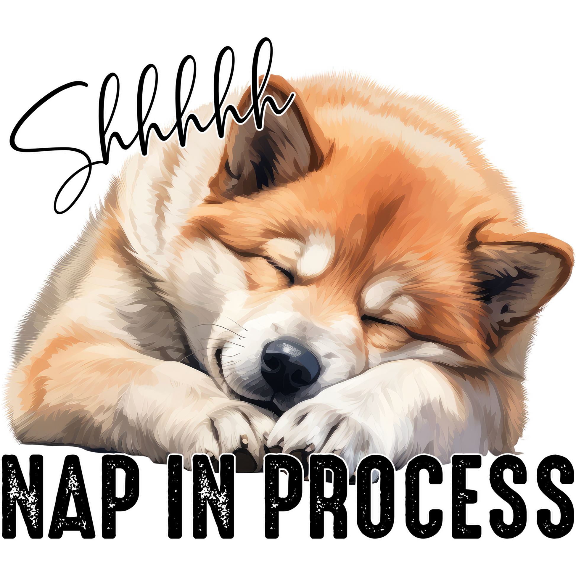 Shhhhh Nap In Process Cute Sleeping Dog Décor