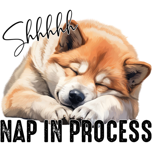 Shhhhh Nap In Process Cute Sleeping Dog Décor