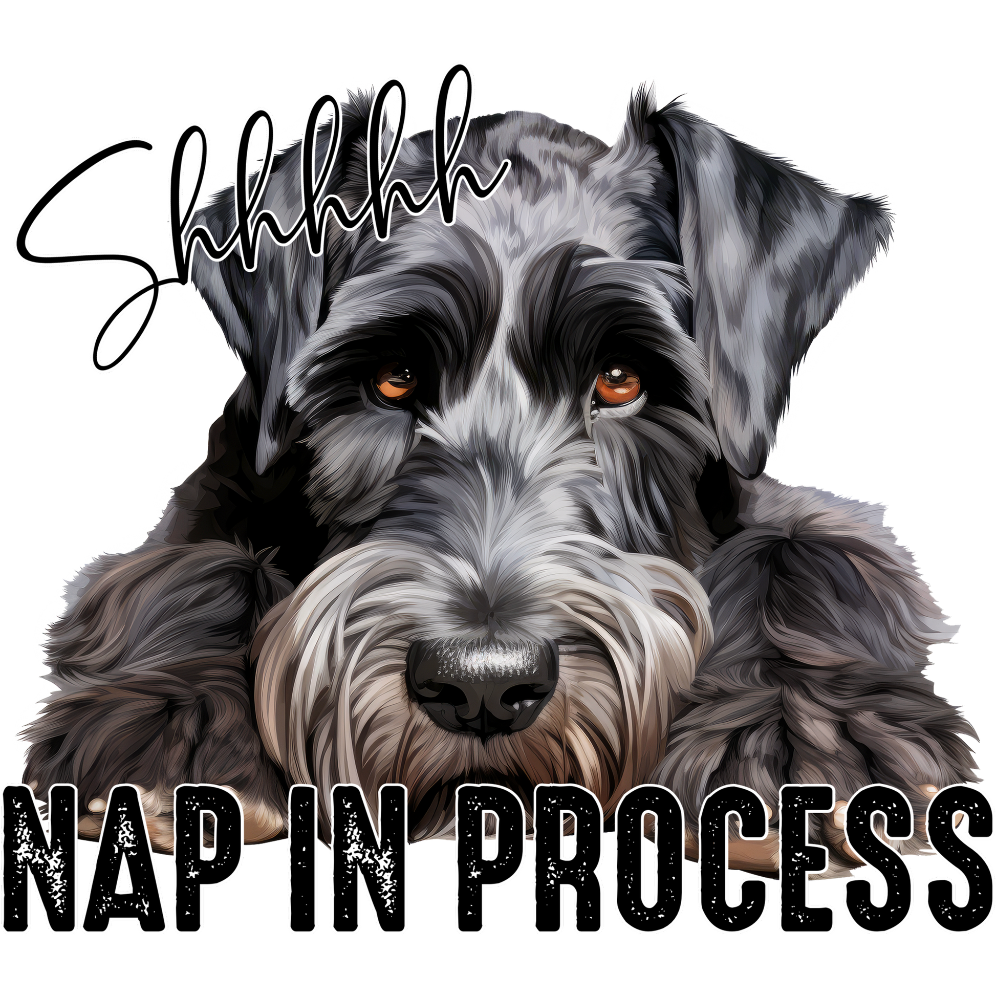 Shhhhh Nap in Process Schnauzer Dog Art product