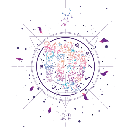 Colorful Floral Zodiac Design wall art product