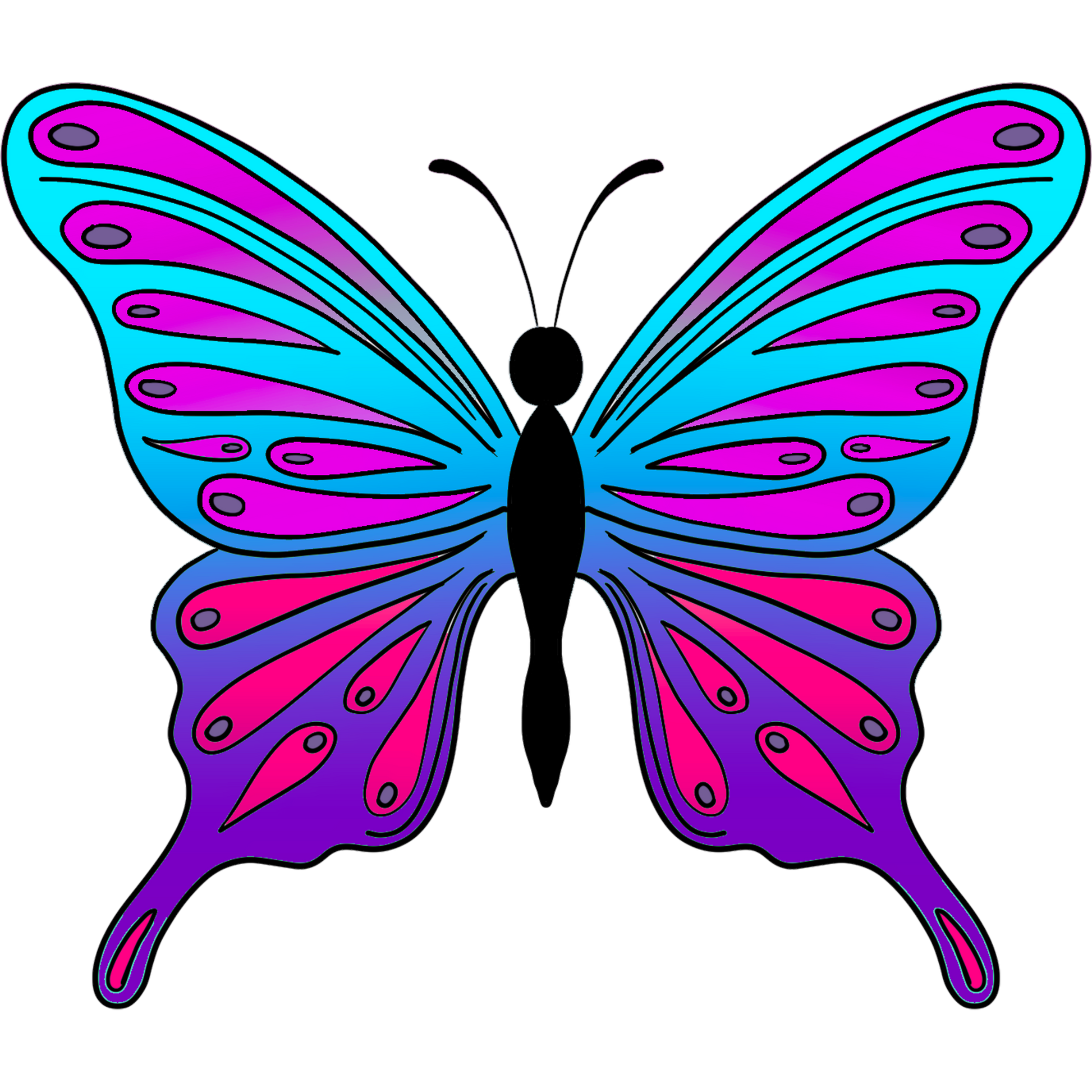 Vibrant multi-colored butterfly design product