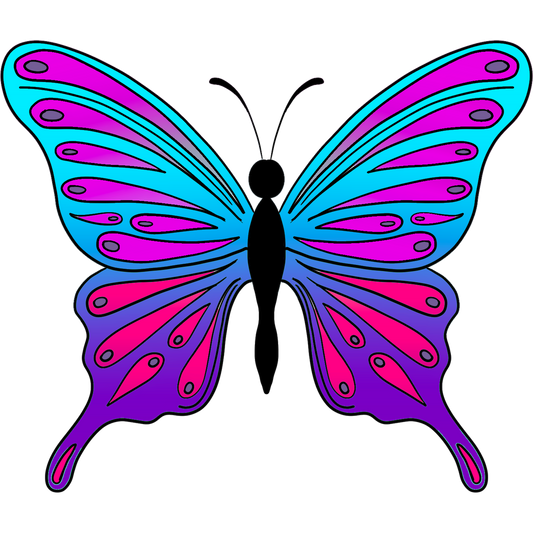 Vibrant multi-colored butterfly design product
