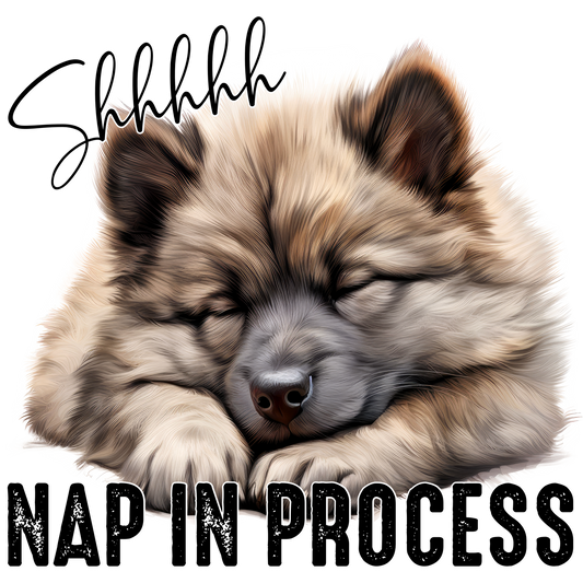 Shhhhh Nap in Process Adorable Sleepy Pet Artwork
