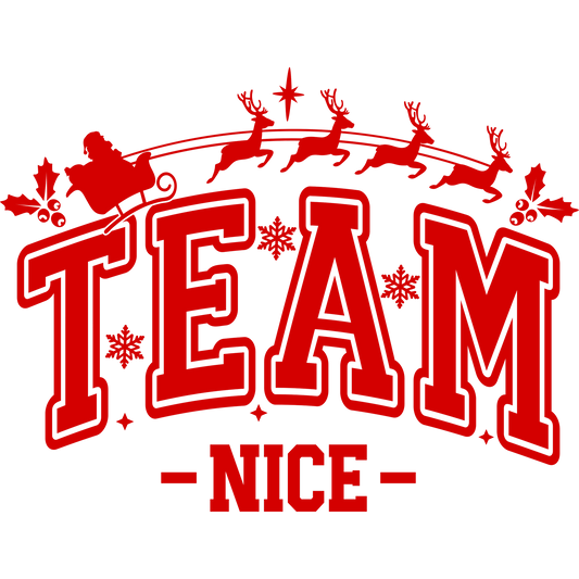 Team Nice Christmas Sleigh Design Festive Apparel