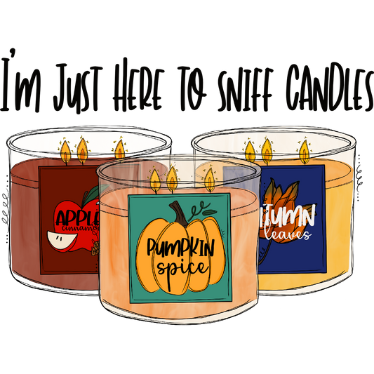 I'm Just Here To Sniff Candles candle product