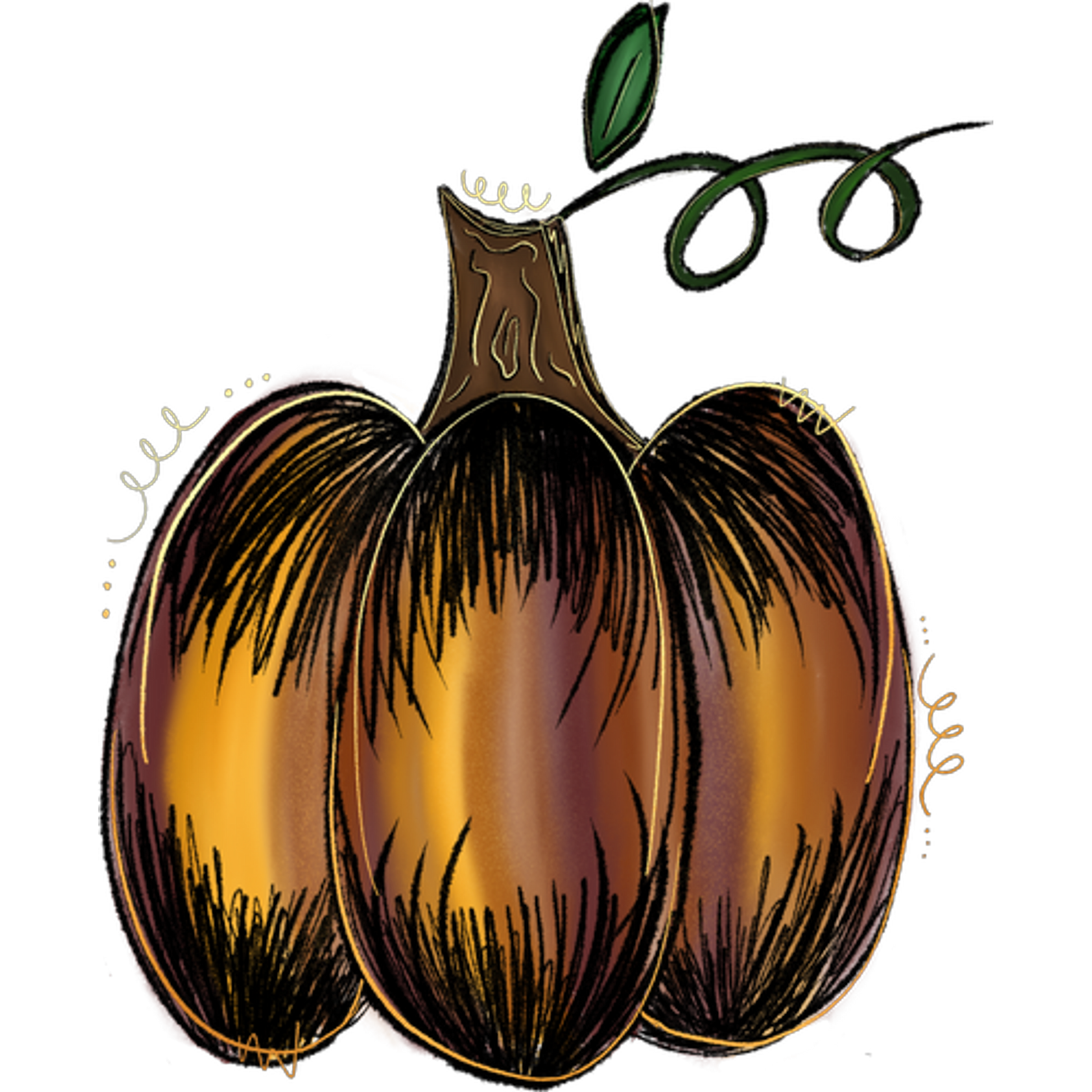 Artisan Illustration of Colorful Cocoa Pods Artwork